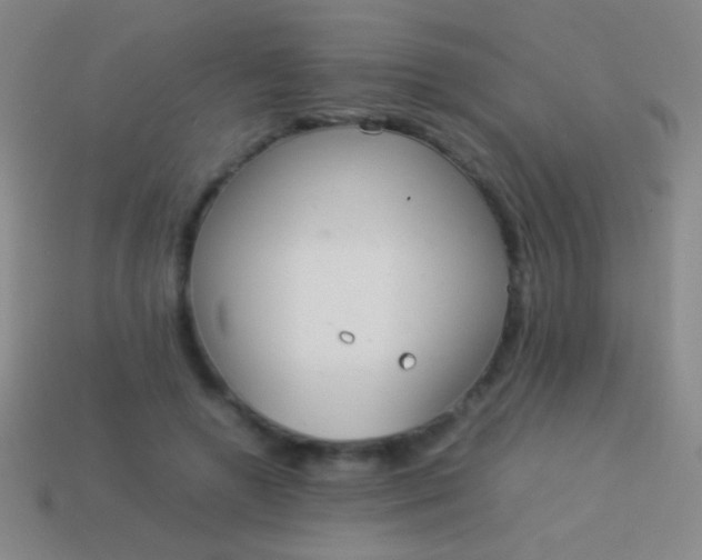 X0000114220546200910231445