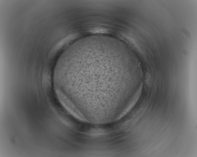 X0000114220547200910231445