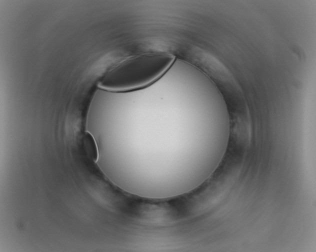 X0000114220548200910231445