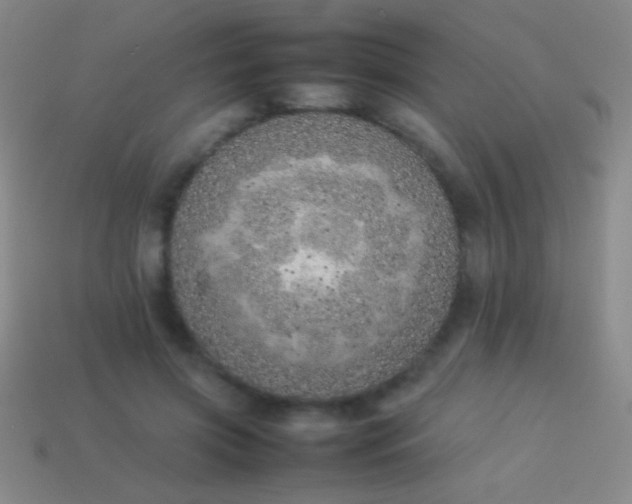 X0000114220549200910231445