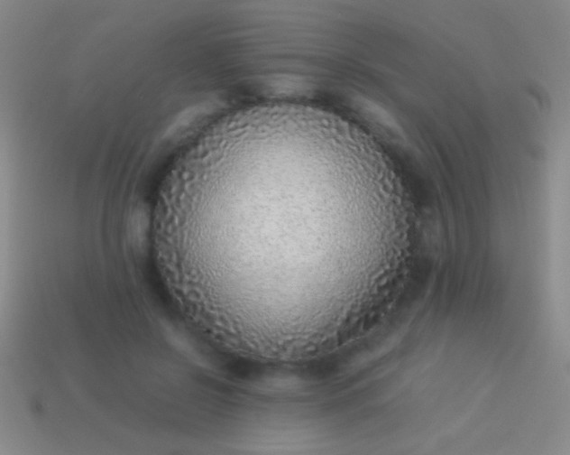 X0000114220550200910231445