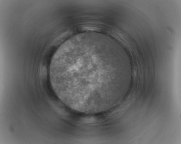 X0000114220551200910231445