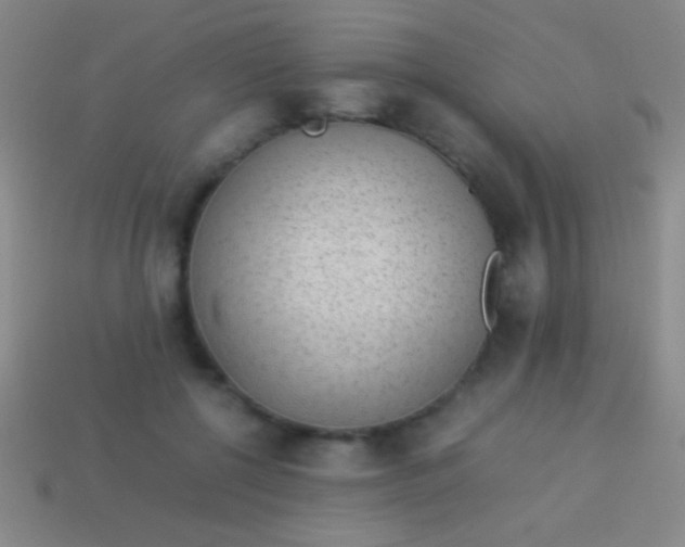 X0000114220552200910231445