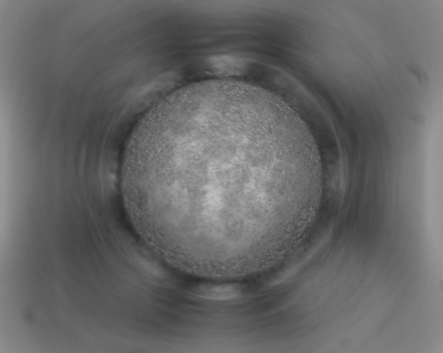 X0000114220553200910231445