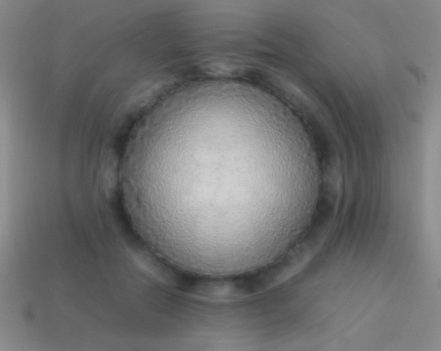 X0000114220554200910231445