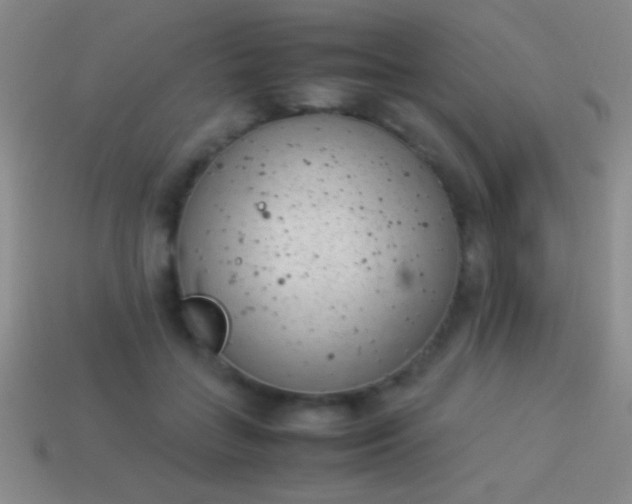 X0000114220555200910231445