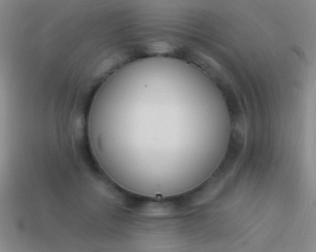 X0000114220556200910231445