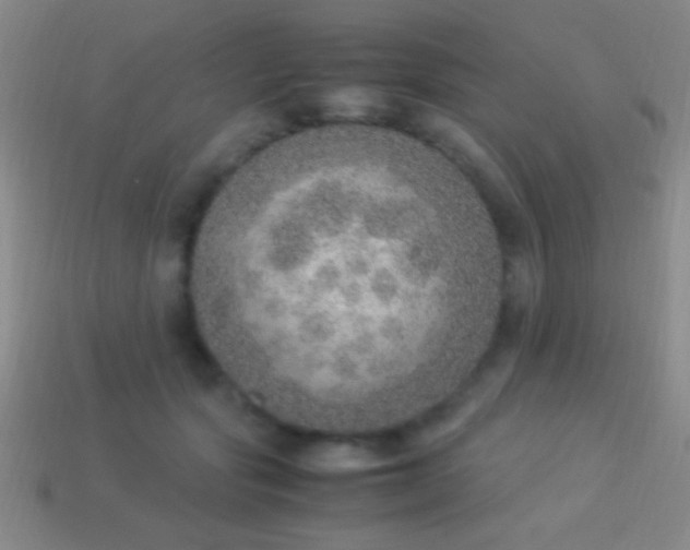 X0000114220557200910231445