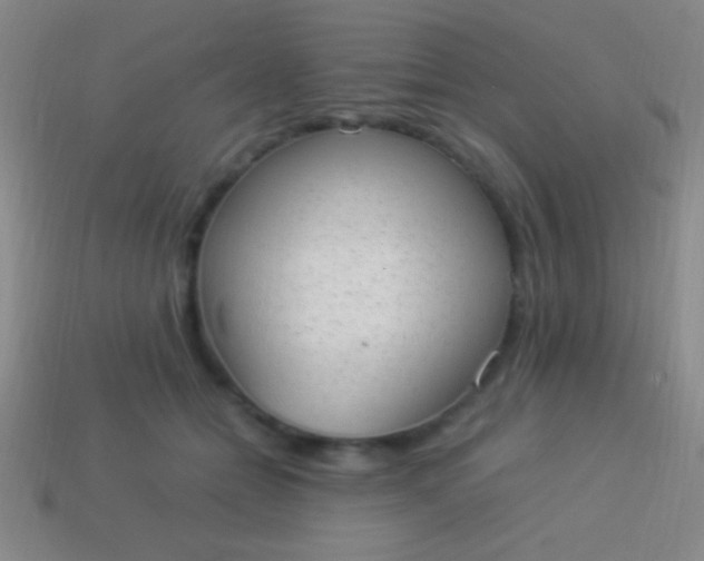 X0000114220558200910231445