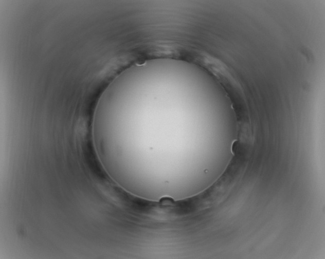 X0000114220560200910231445