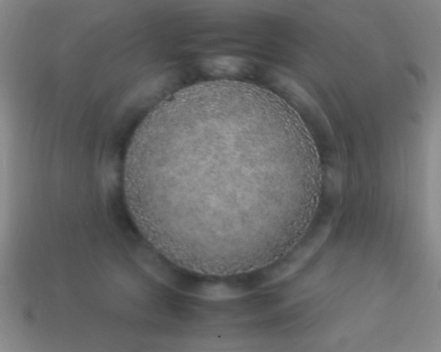 X0000114220561200910231445