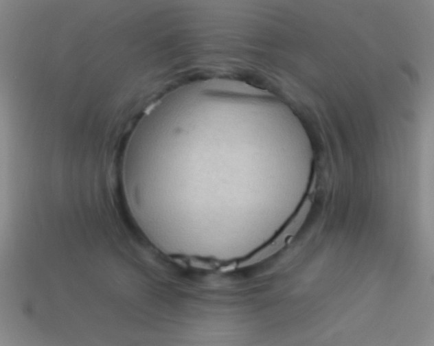 X0000114220562200910231445