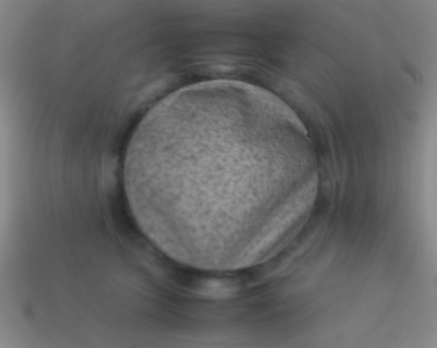 X0000114220563200910231445