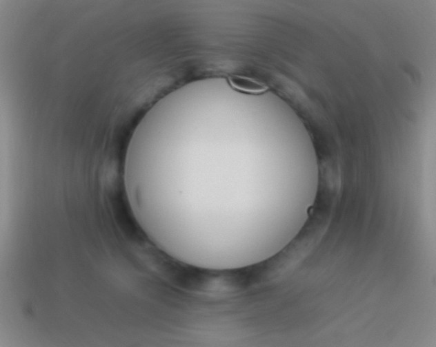 X0000114220564200910231445