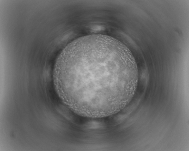 X0000114220565200910231445