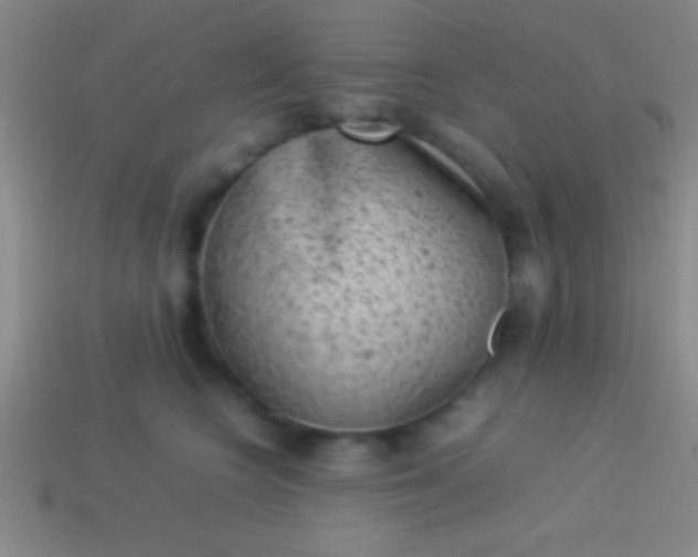 X0000114220566200910231445