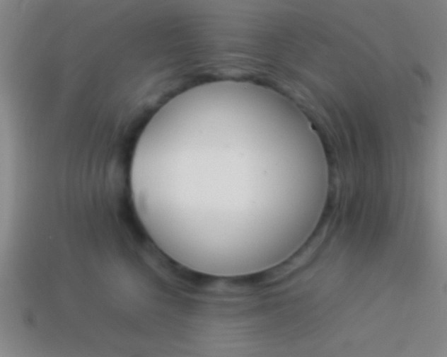 X0000114220568200910231445