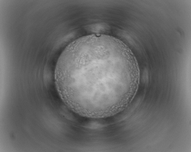 X0000114220569200910231445