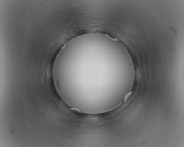 X0000114220570200910231445