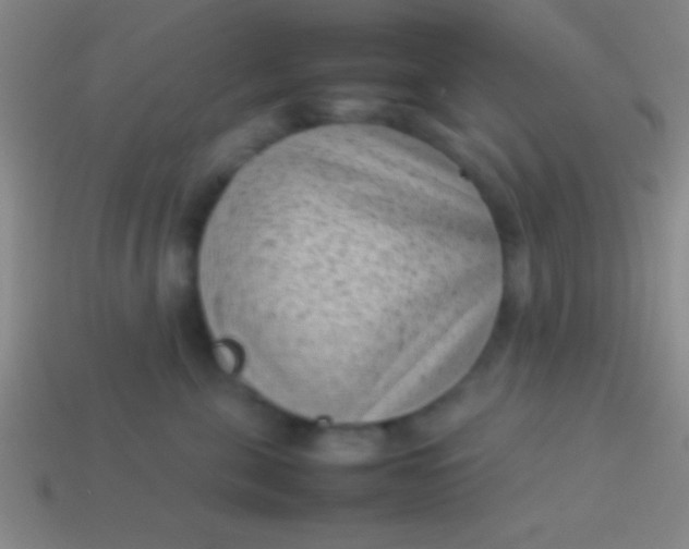 X0000114220571200910231445