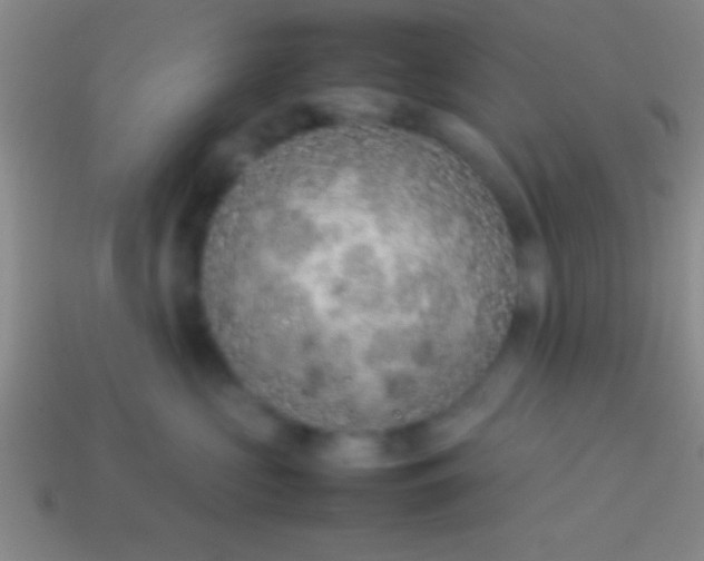 X0000114220573200910231445