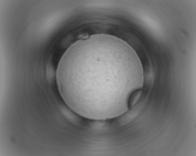 X0000114220574200910231445