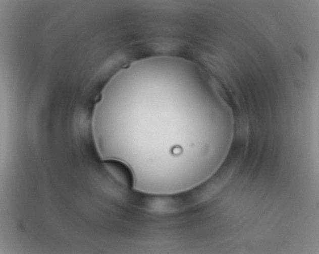 X0000114220575200910231445