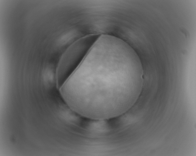 X0000114220576200910231445