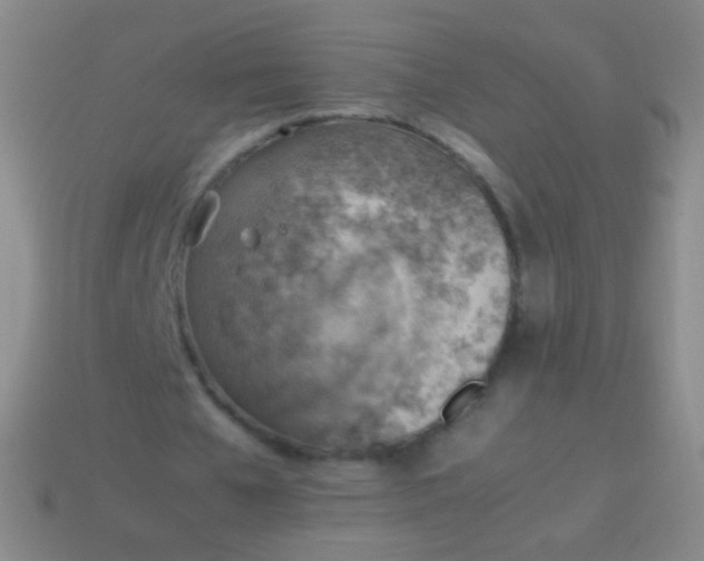 X0000114220577200910231445