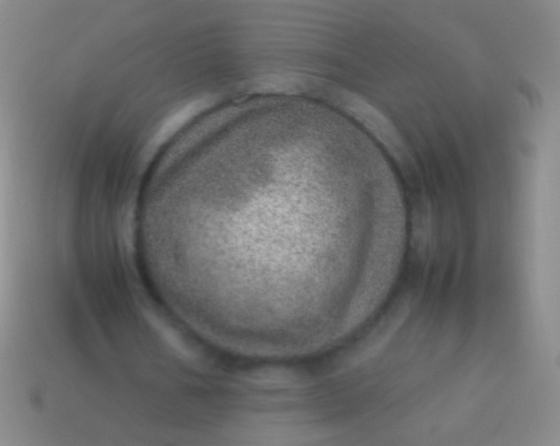 X0000114220578200910231445