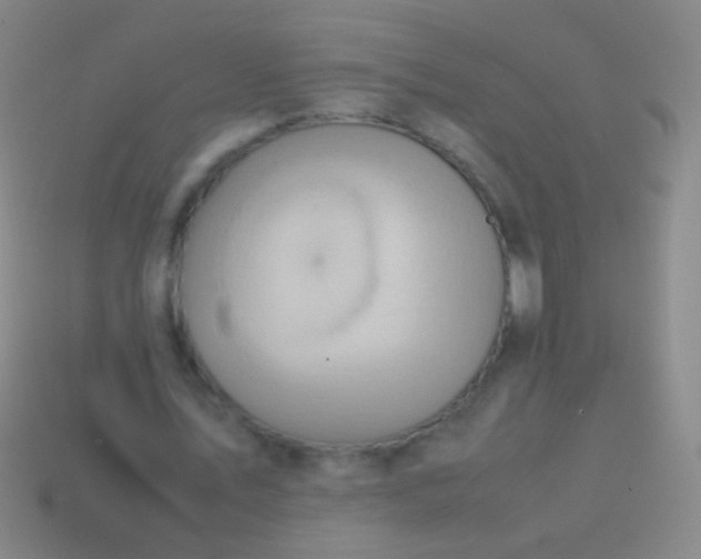 X0000114220579200910231445