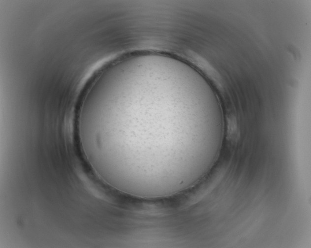 X0000114220580200910231445