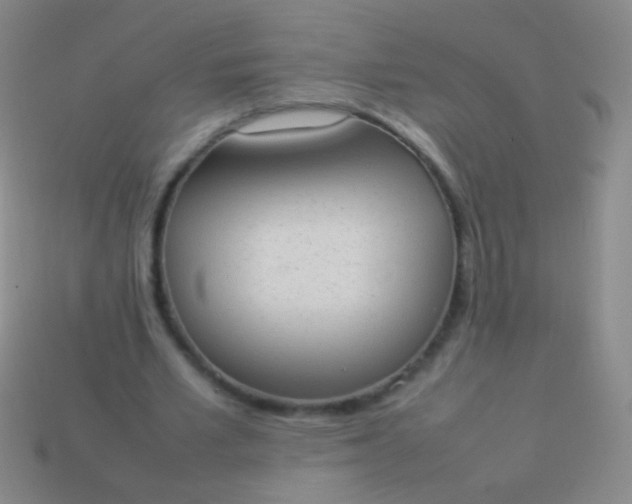 X0000114220581200910231445