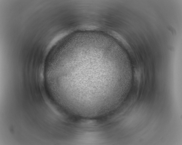 X0000114220582200910231445