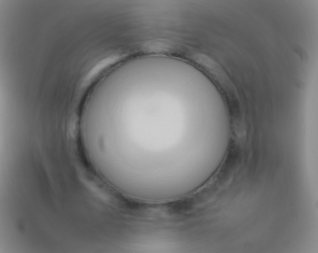 X0000114220583200910231445