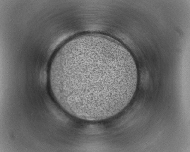 X0000114220584200910231445