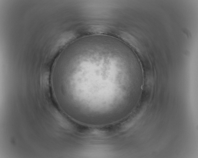 X0000114220585200910231445