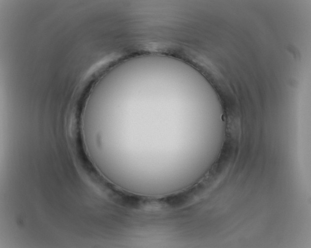 X0000114220587200910231445