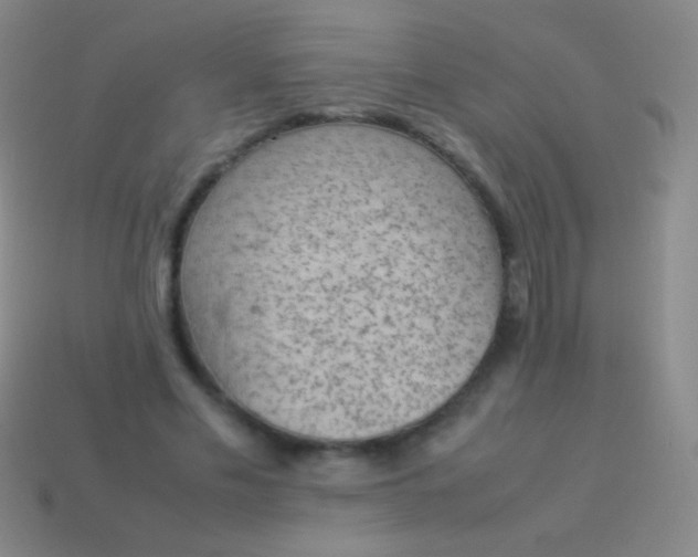 X0000114220589200910231445