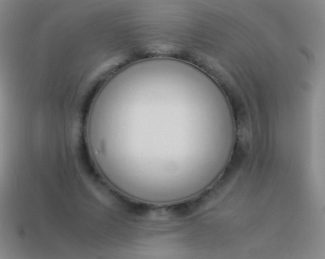 X0000114220591200910231444