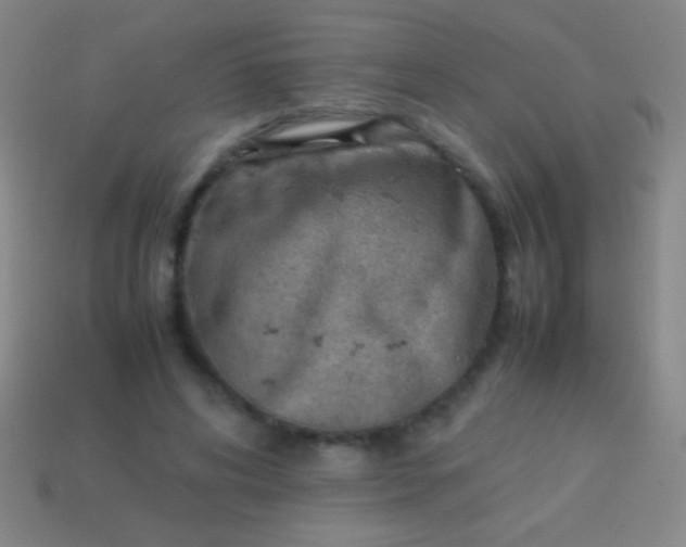 X0000114220592200910231444