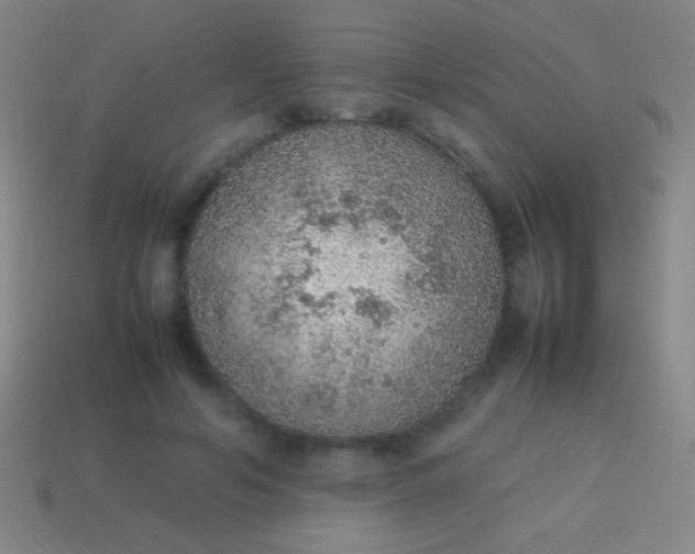 X0000114220594200910231444