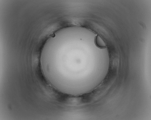 X0000114220595200910231444