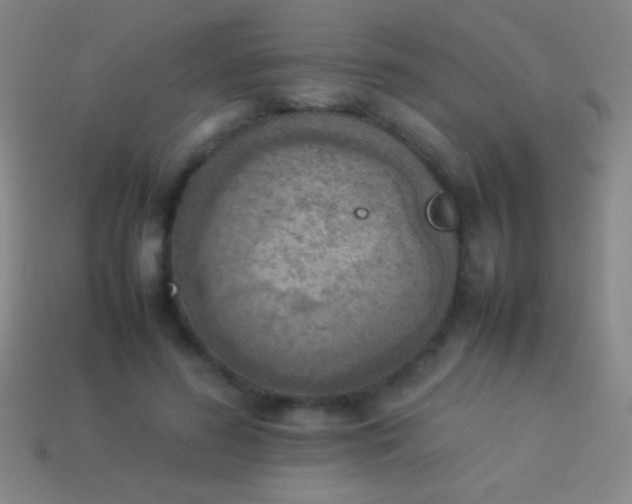 X0000114220596200910231444