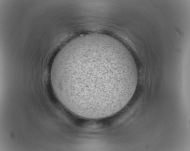 X0000114220597200910231444