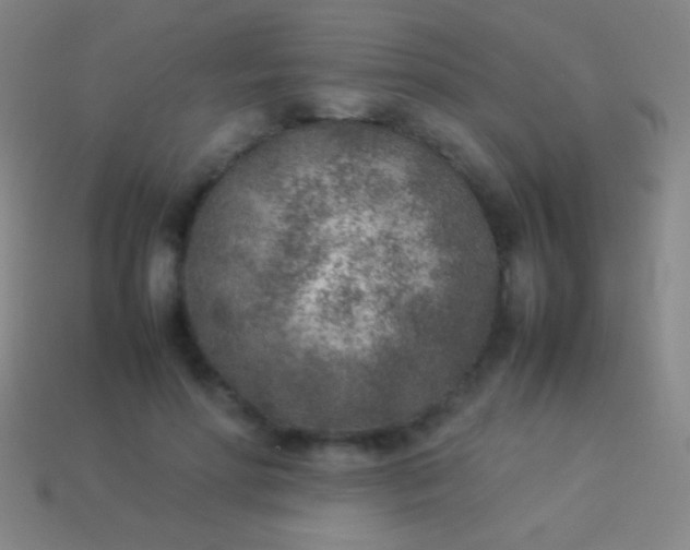 X0000114220598200910231444