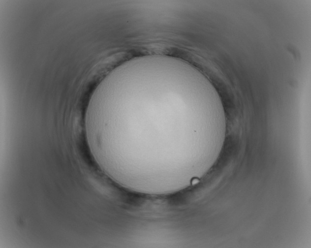 X0000114220599200910231444