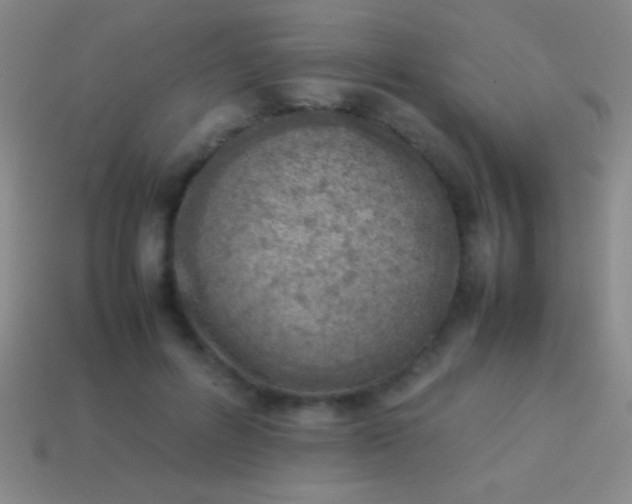 X0000114220600200910231444