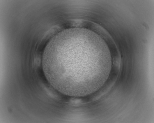 X0000114220602200910231444