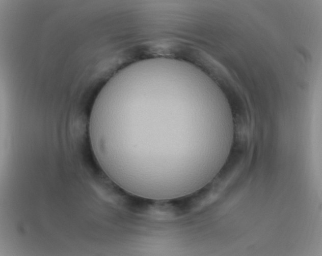 X0000114220603200910231444